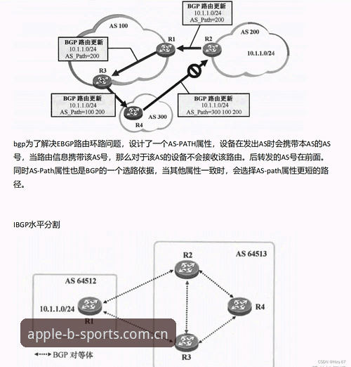 B体育苹果版旧版本直连体验报告：过滤冗余功能后的数据效率深度评测